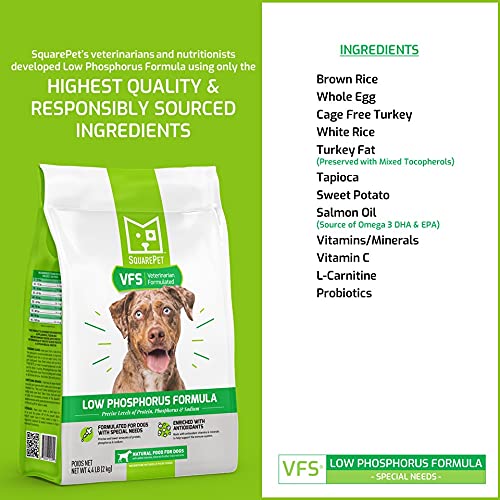 SquarePet VFS antioxidants vitamins E & C image for immune support.