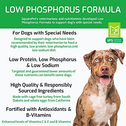 SquarePet VFS cage-free turkey and eggs protein source image for muscle support.