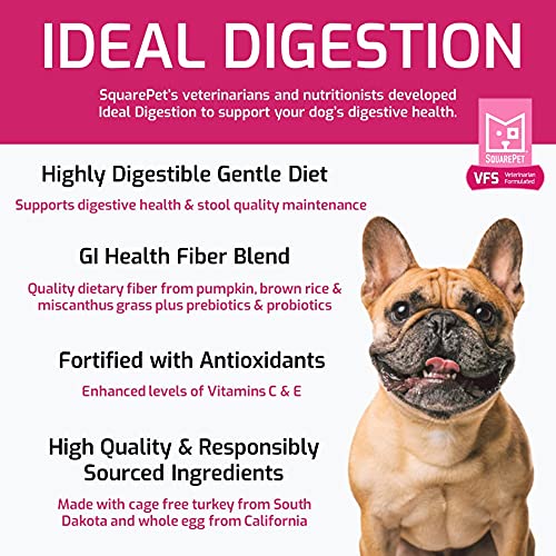 SquarePet VFS Canine Ideal Digestion Formula bag back listing fiber blend benefits for gut health.