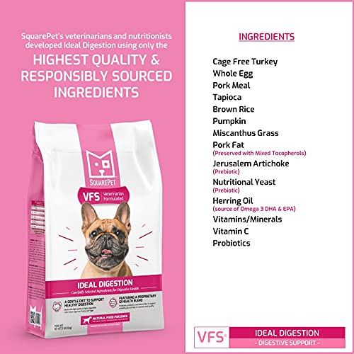 SquarePet VFS Canine Ideal Digestion Formula bowl served as a daily meal option for dogs.