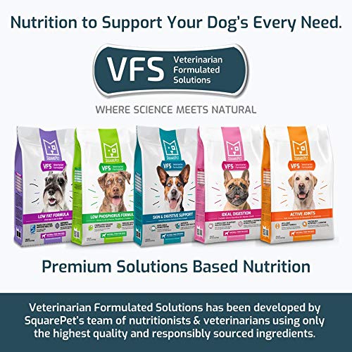 SquarePet VFS Canine Ideal Digestion Formula pumpkin fiber texture promotes digestion in dogs.
