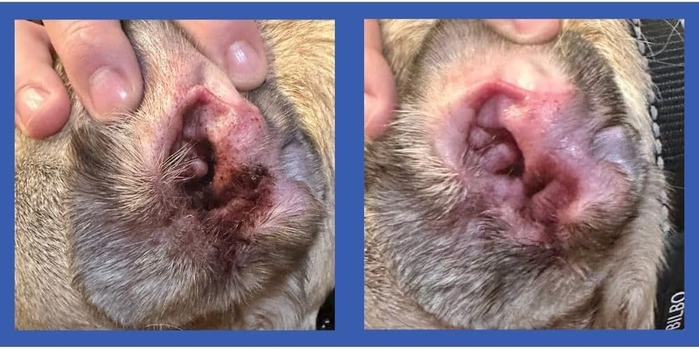 Squishface phytosphingosine ceramide supports skin barrier during cleaning.