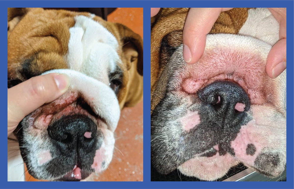 Squishface Wrinkle Paste comes in a 2 oz tube for easy application.