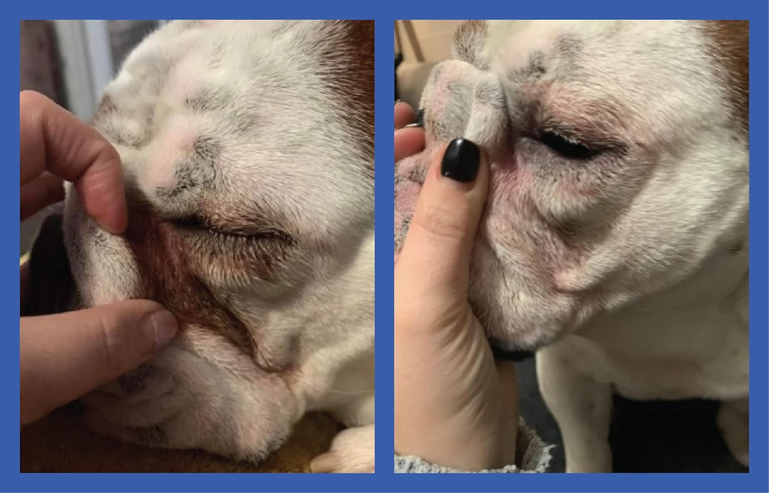 Squishface Wrinkle Paste application brush in action on wrinkle line.