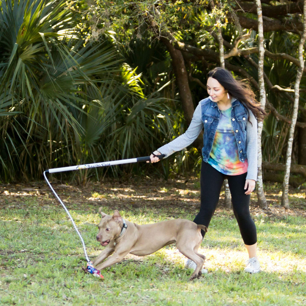 Squishy Face Studio Flirt Pole V2 36-inch regular size supports dogs of all sizes during exercise.