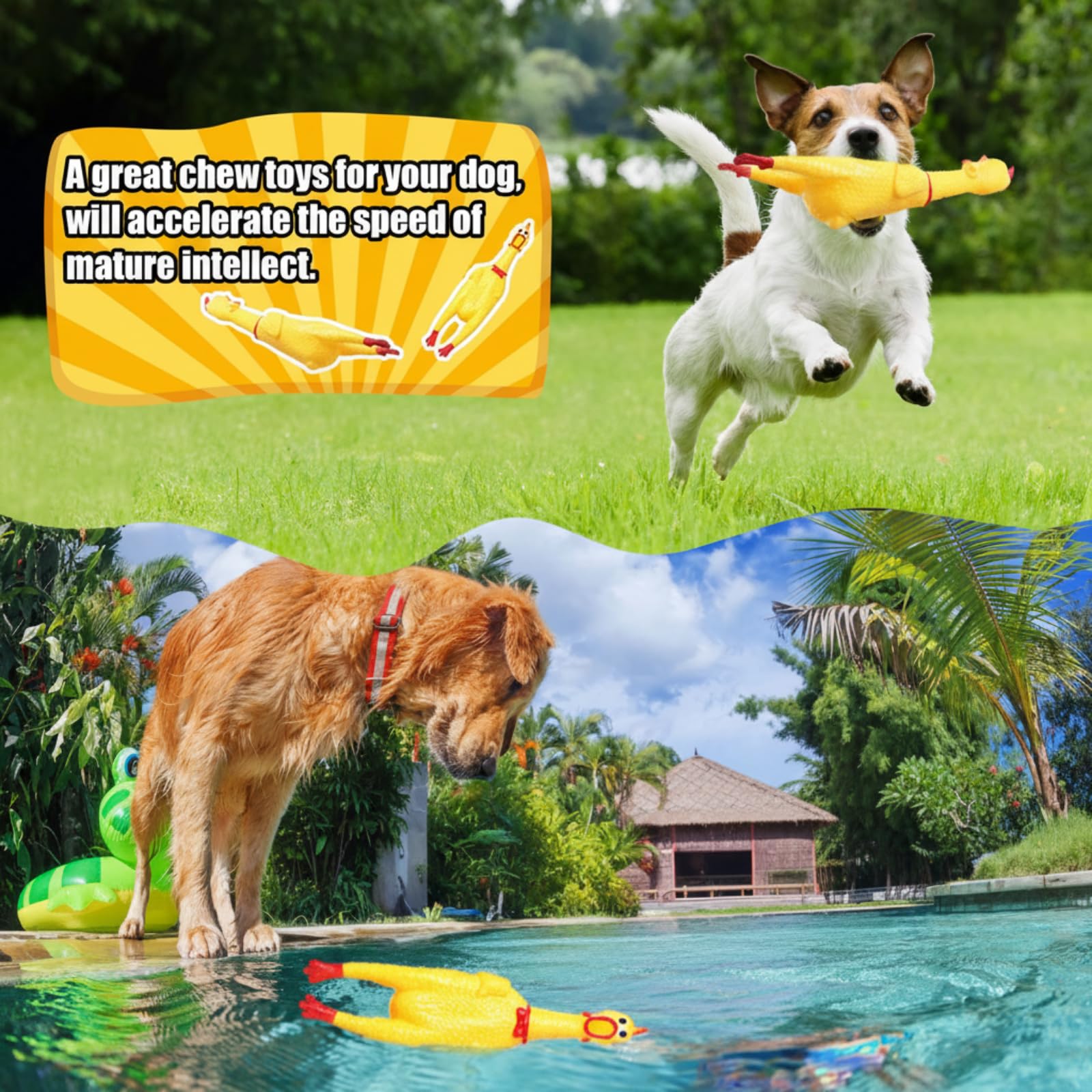 Sratte 16-pack yellow rubber chickens for bulk fun and gifting.