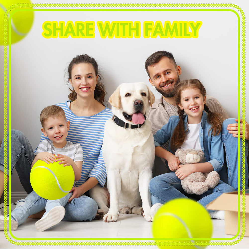 Sratte indoor-outdoor play ball for versatile dog games