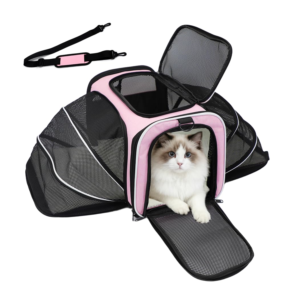 Srinlon Double Expandable Cat Carrier pink under-seat design for easy airline travel