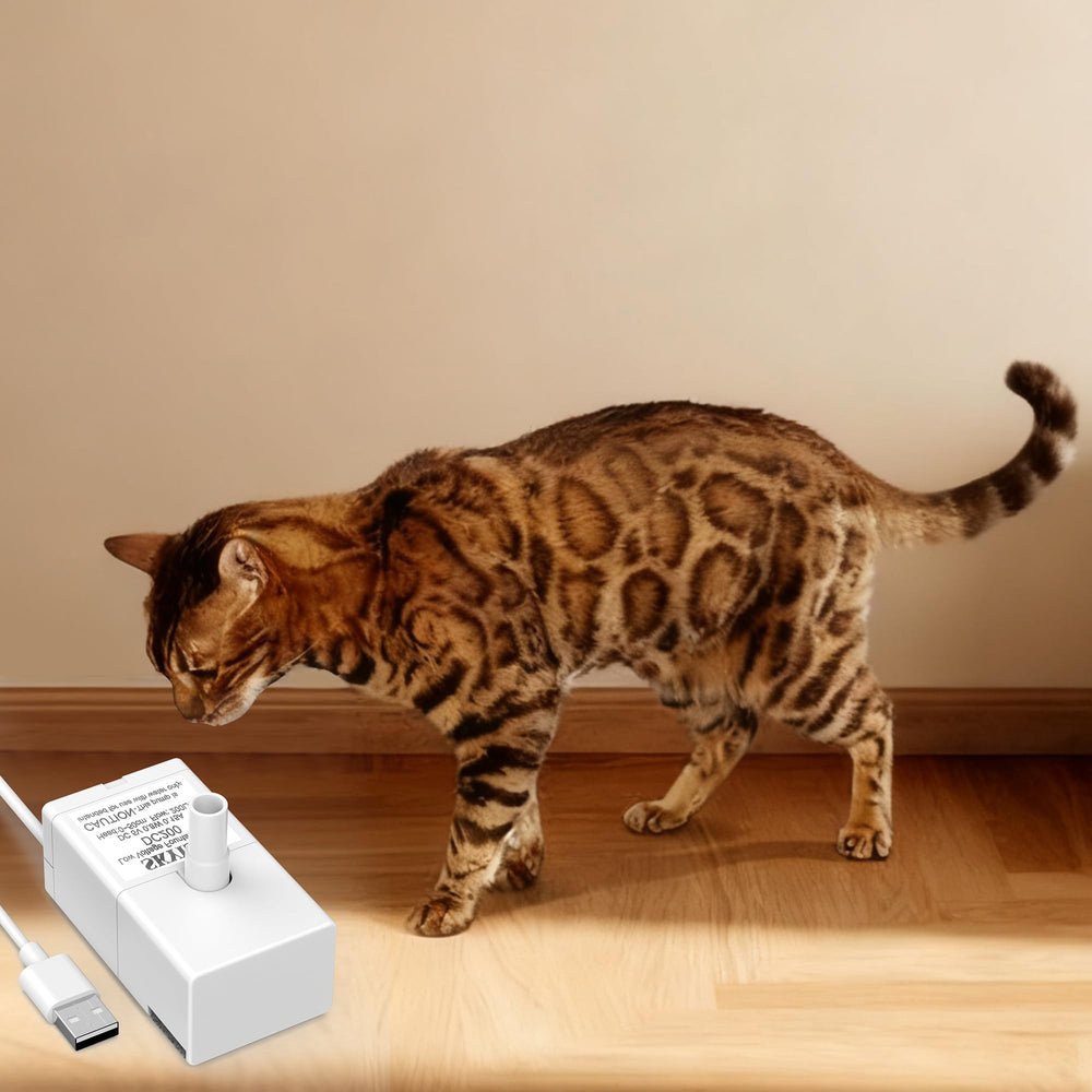 Srnona cat fountain packaging and accessories for easy setup.