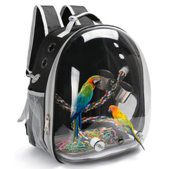 SSAWcasa bird backpack window view highlights outdoor scenery benefits for parrots