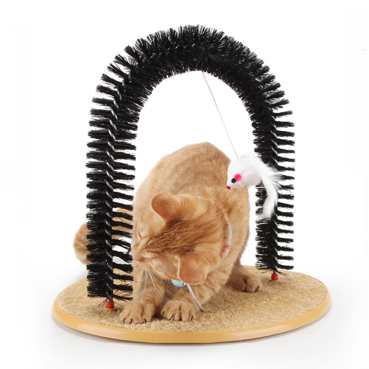 SSAWcasa cat self groomer arch scratcher for indoor cats in action.