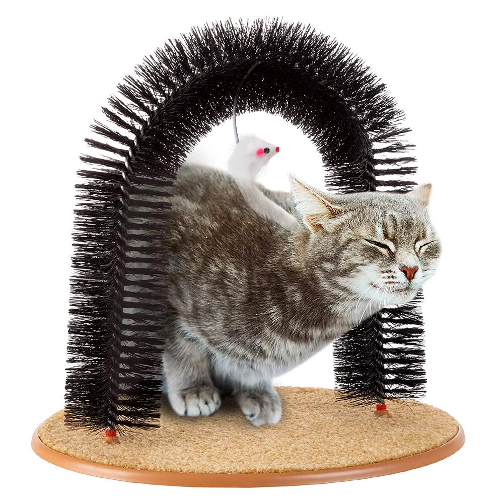 SSAWcasa indoor cat using the self groomer in a cozy corner.