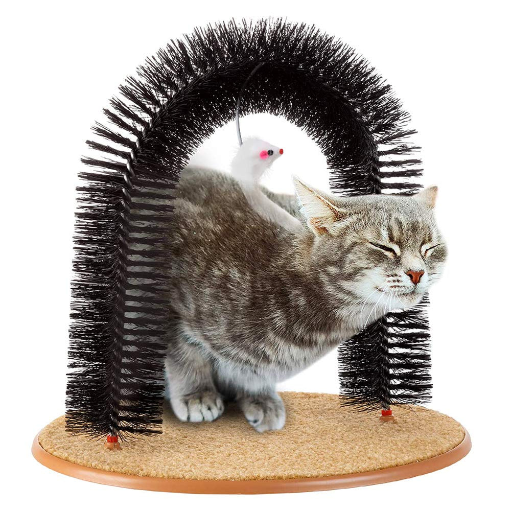 SSAWcasa indoor cat using the self groomer in a cozy corner.