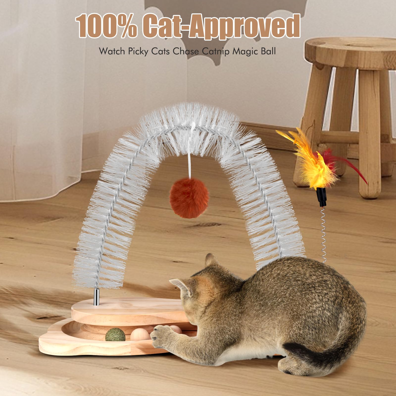 SSAWcasa kitten-interactive catnip ball invites scent-driven exploration