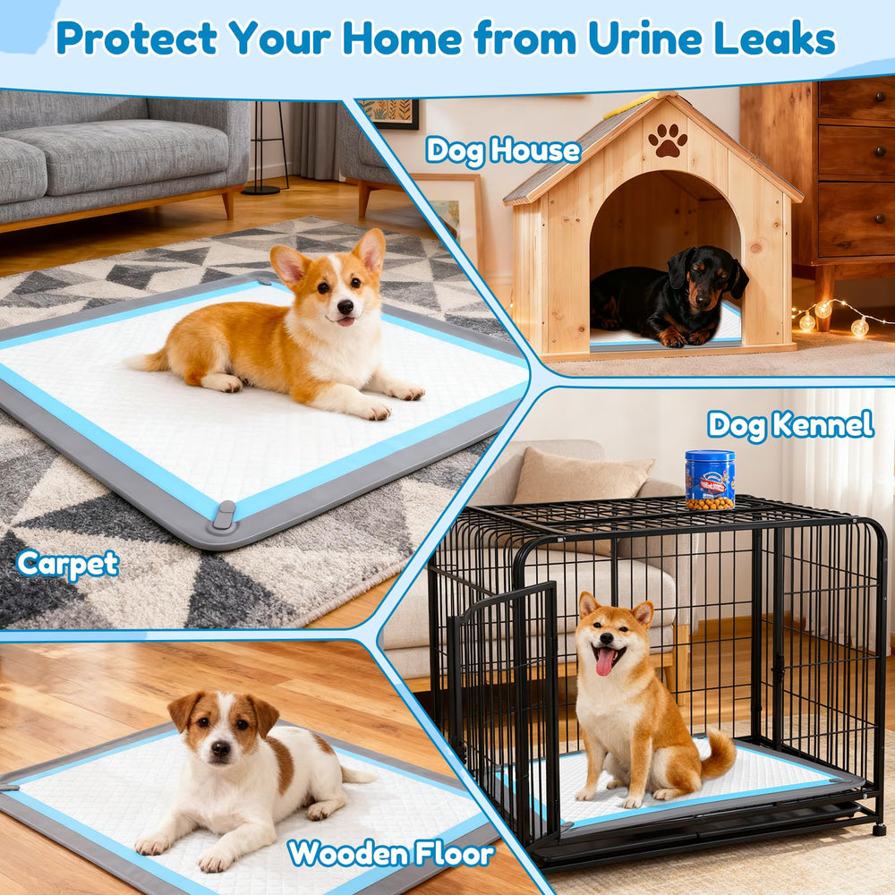SSAWcasa leak-proof tray protects floors during puppy or senior dog training.