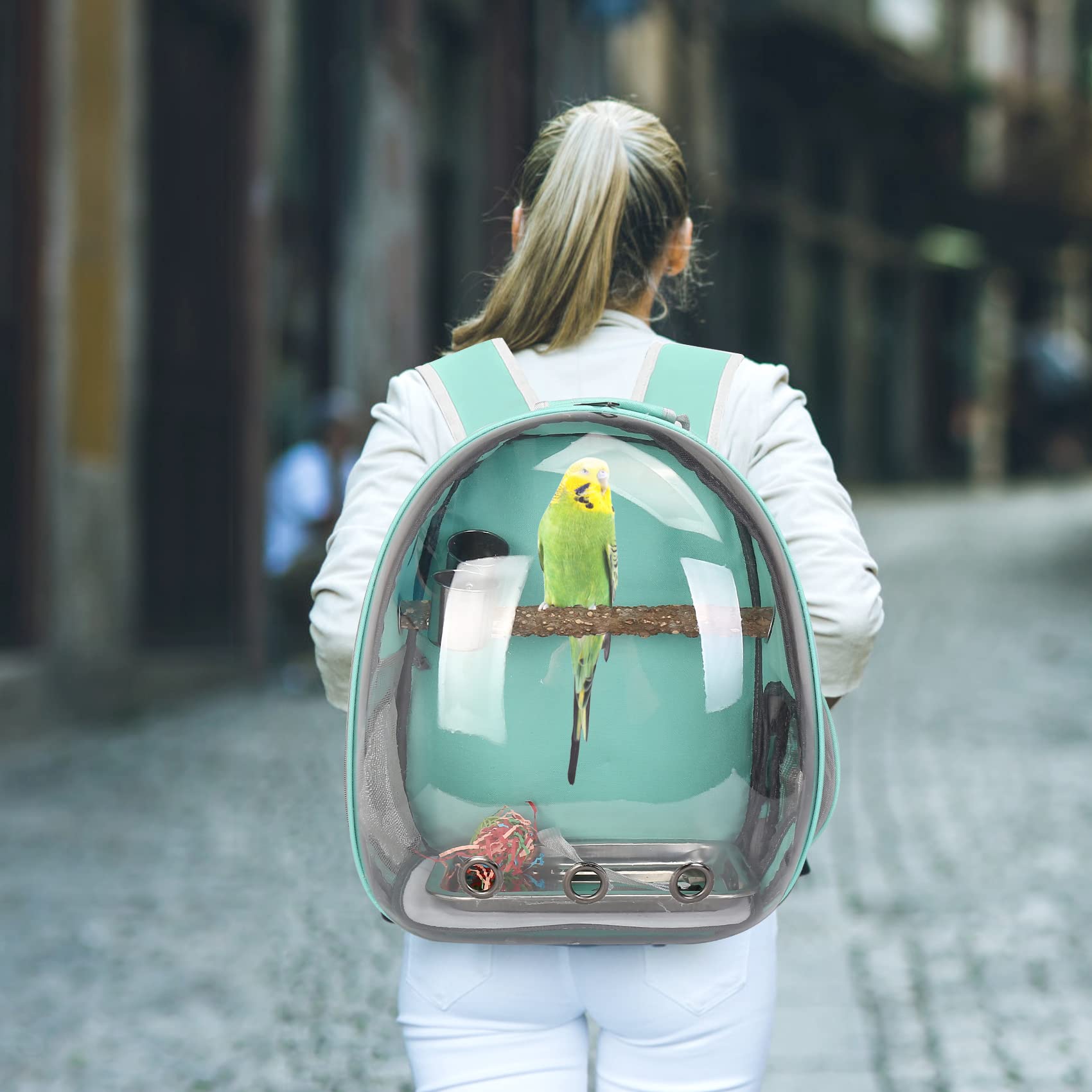 SSAWcasa versatile small pet carrier suitable for cats or rabbits.
