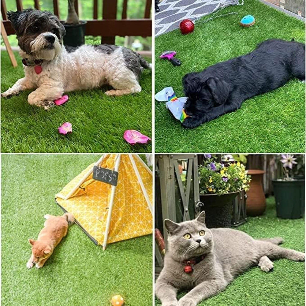 SSRIVER dog grass pad supports potty training and playtime for puppies