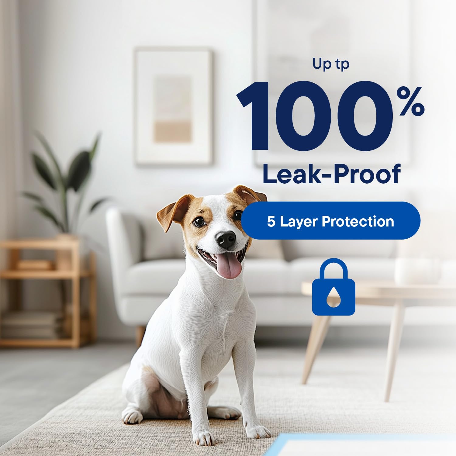 Stack Man Puppy Pads with odor control for a fresher home.