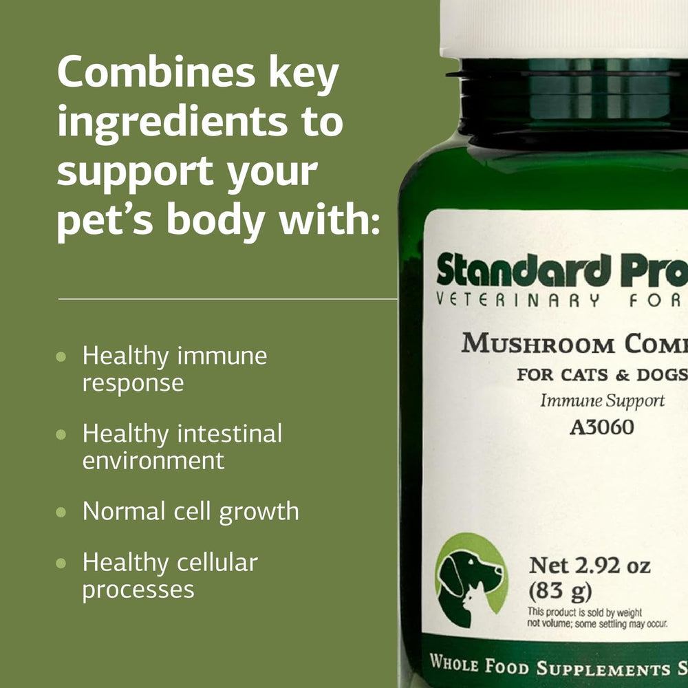 Standard Process Bovine Colostrum powder close-up for gentle immune nutrition.