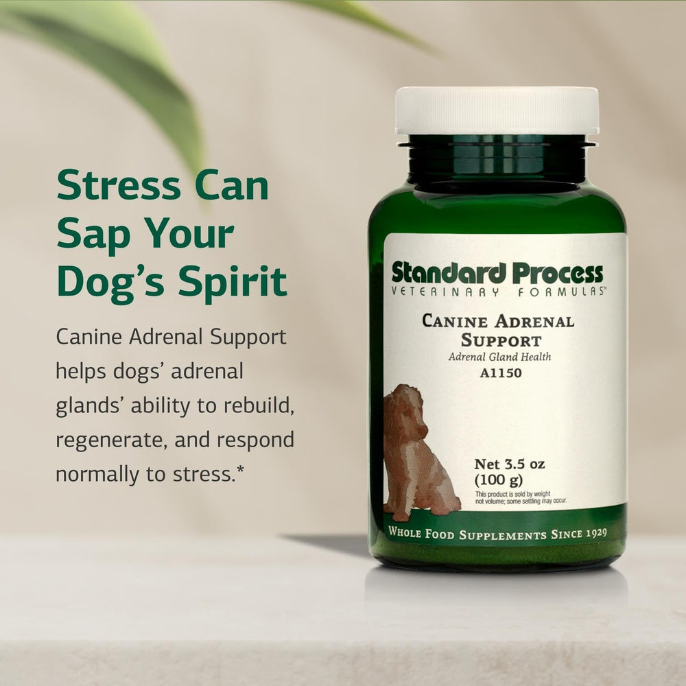Standard Process Canine Adrenal Support label close-up with natural ingredients