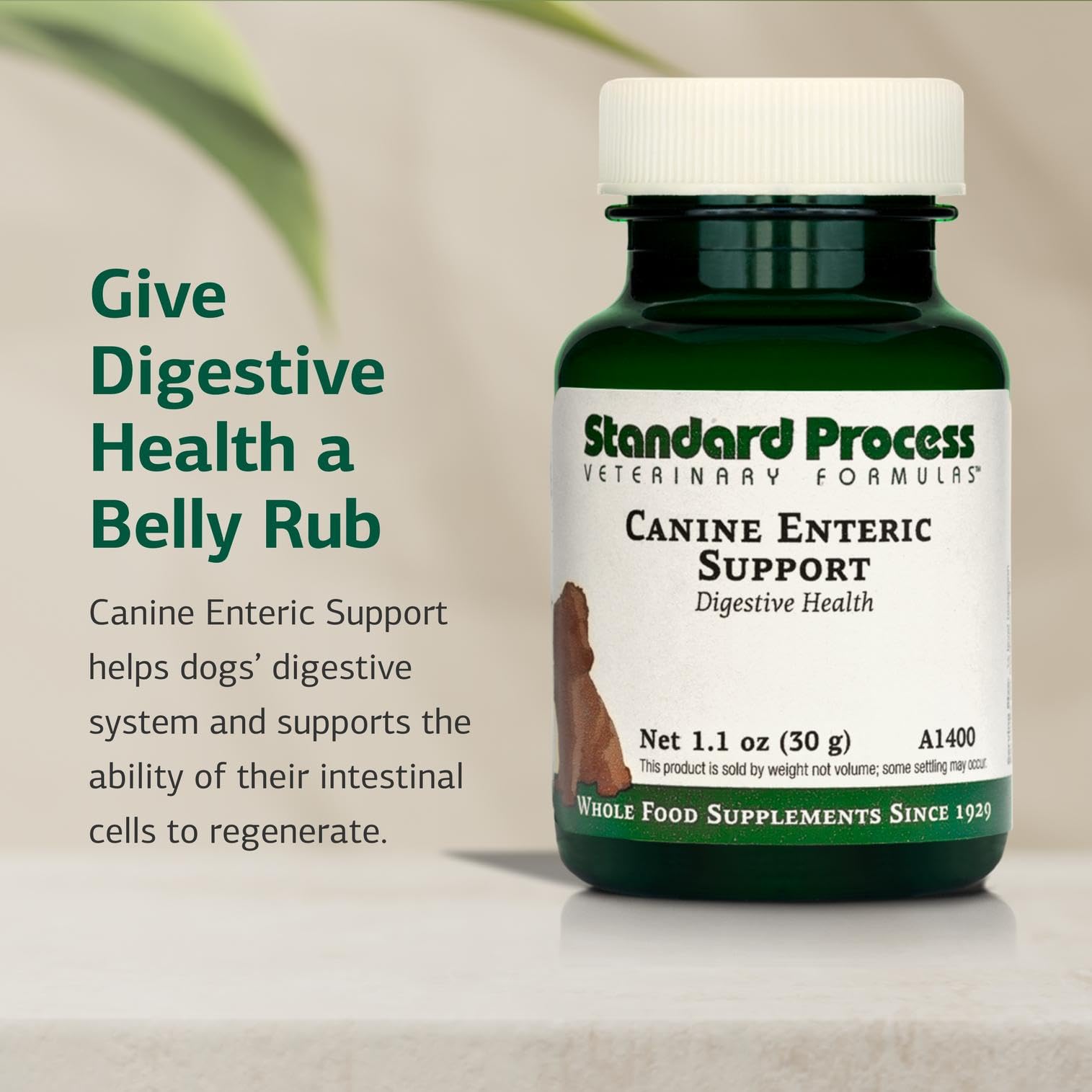 Ingredient blend highlights plant and animal sources for gut support.