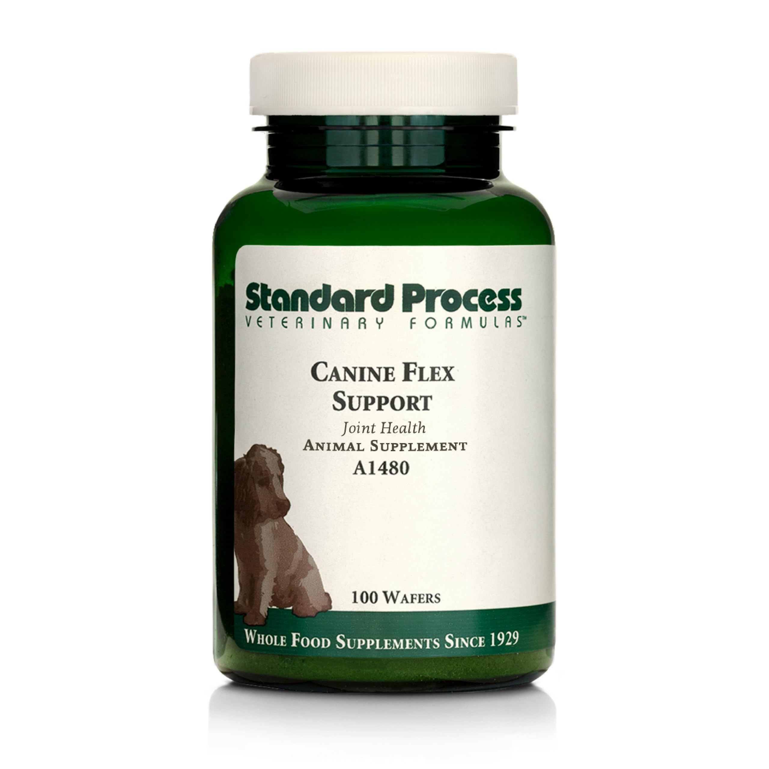 Standard Process Canine Flex Support bottle with chewable wafers for joint health