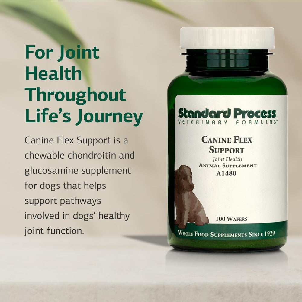 Boxed Standard Process Canine Flex Support packaging emphasizing whole-food ingredients