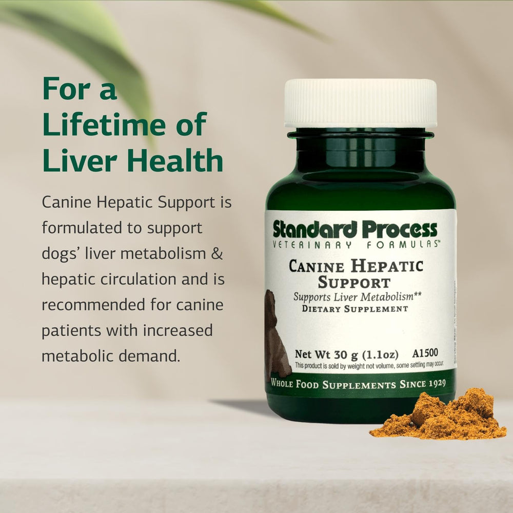 Standard Process Canine Hepatic Support being mixed into dog food at mealtime.