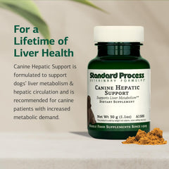 Standard Process Canine Hepatic Support being mixed into dog food at mealtime.