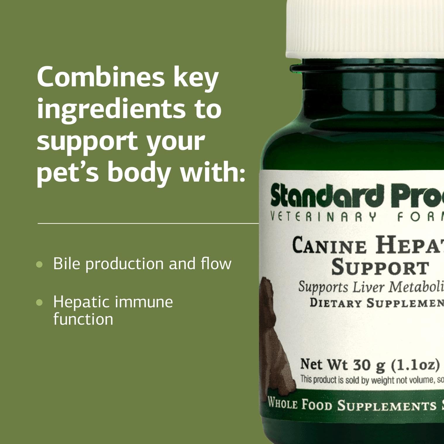 Standard Process Canine Hepatic Support powder close-up showing fine texture.