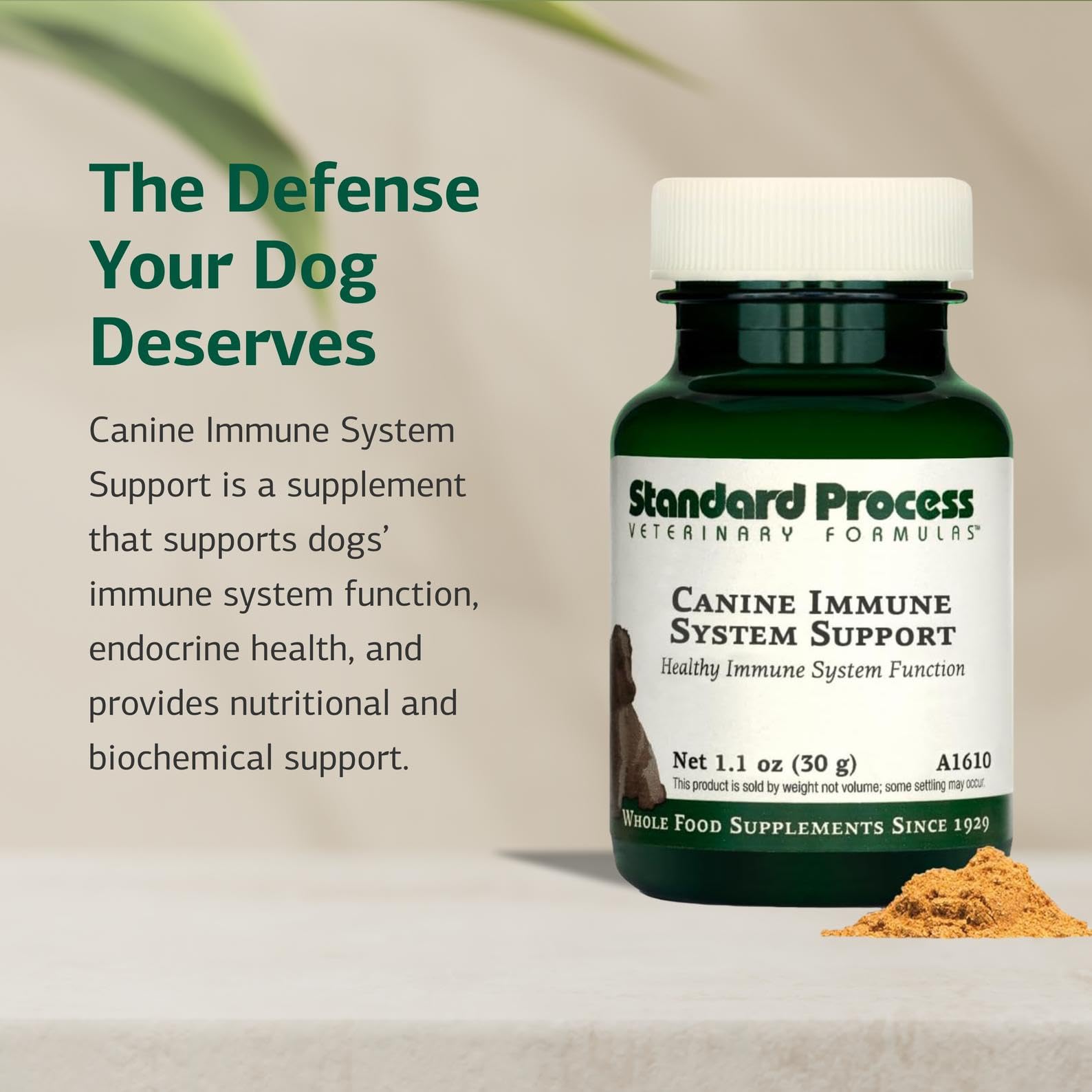 Standard Process Canine Immune Support ingredients label featuring zinc and kelp
