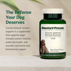Standard Process Canine Immune System Support powder-dispensing demonstrates easy mixing into meals.