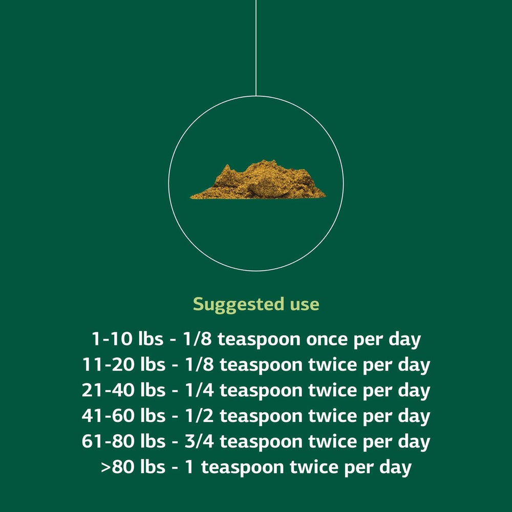 Standard Process Canine Liver and Digestion graphic emphasizes whole-food ingredients