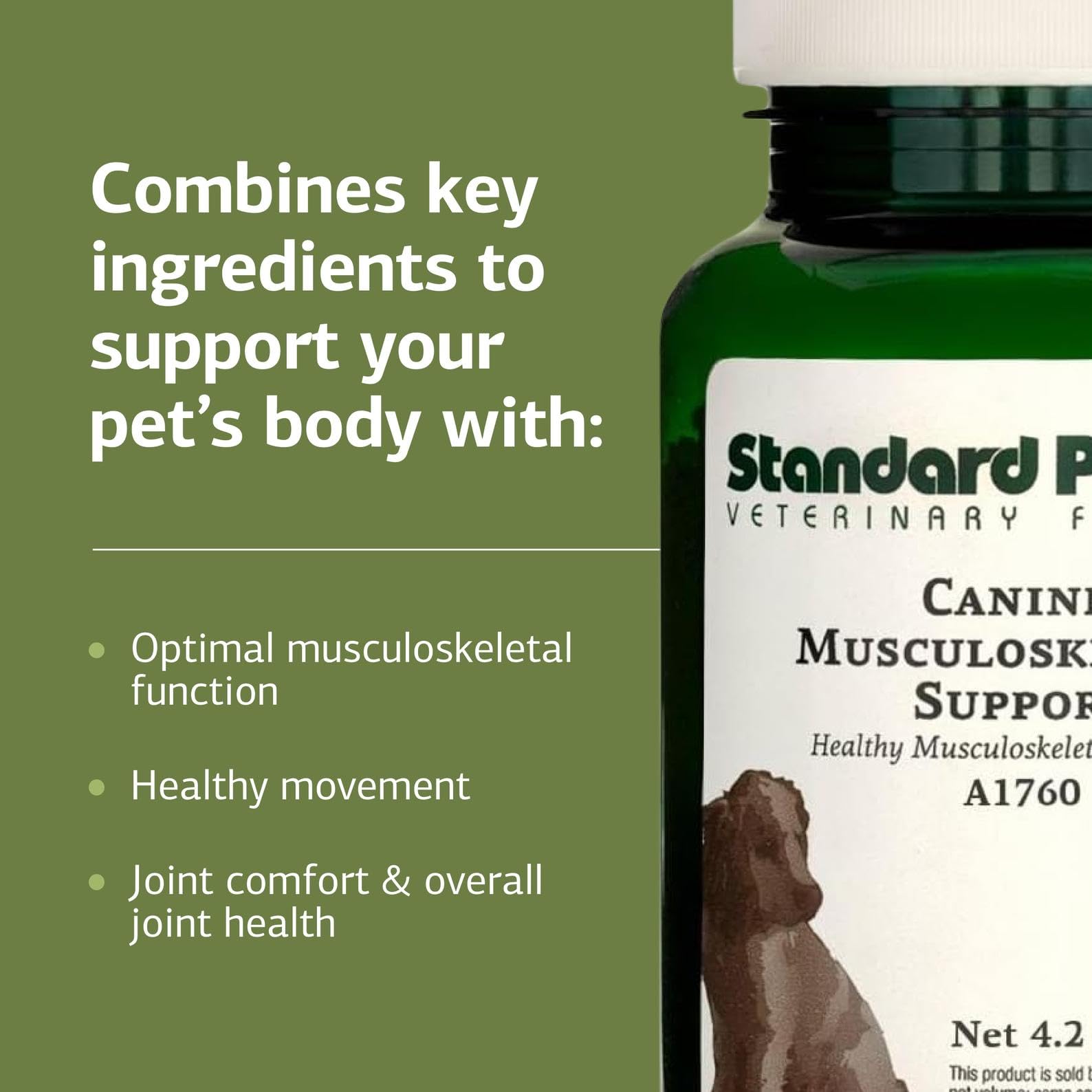 Standard Process Canine Musculoskeletal Support with an active dog demonstrates movement support.