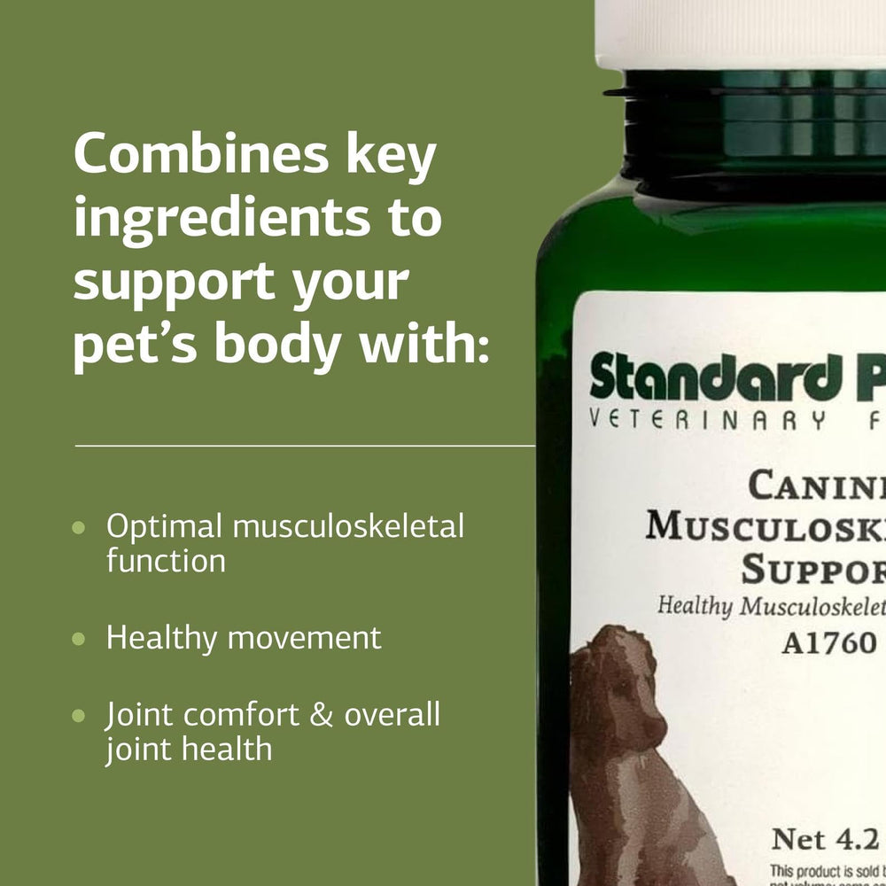 Standard Process Canine Musculoskeletal Support with an active dog demonstrates movement support.