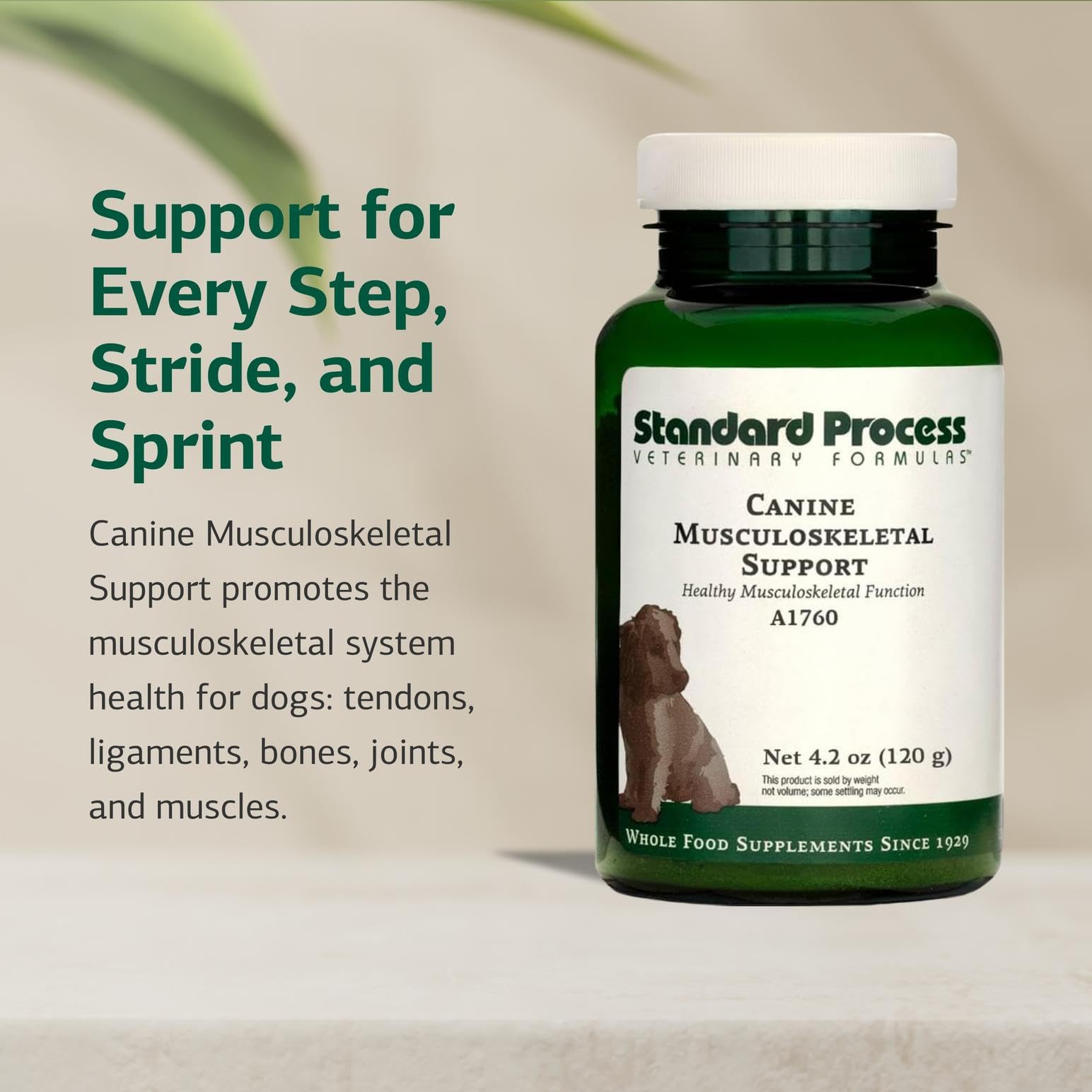 Standard Process Canine Musculoskeletal Support label close-up highlighting whole-food ingredients.
