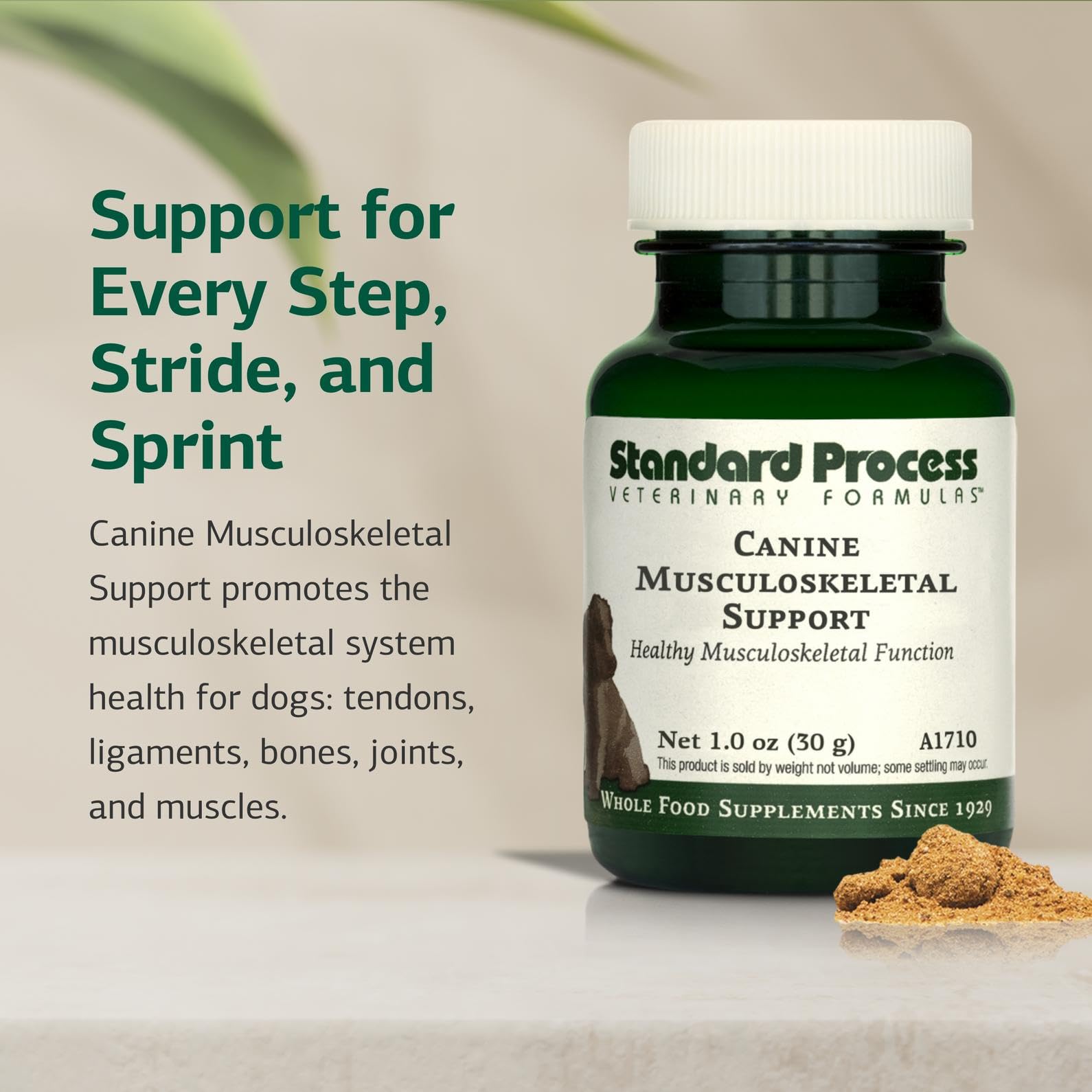 Standard Process Canine Musculoskeletal Support measuring scoop highlights weight-based dosing