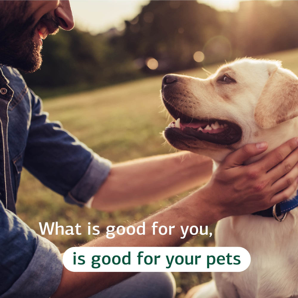 Dog-friendly visuals highlighting heart and renal support.