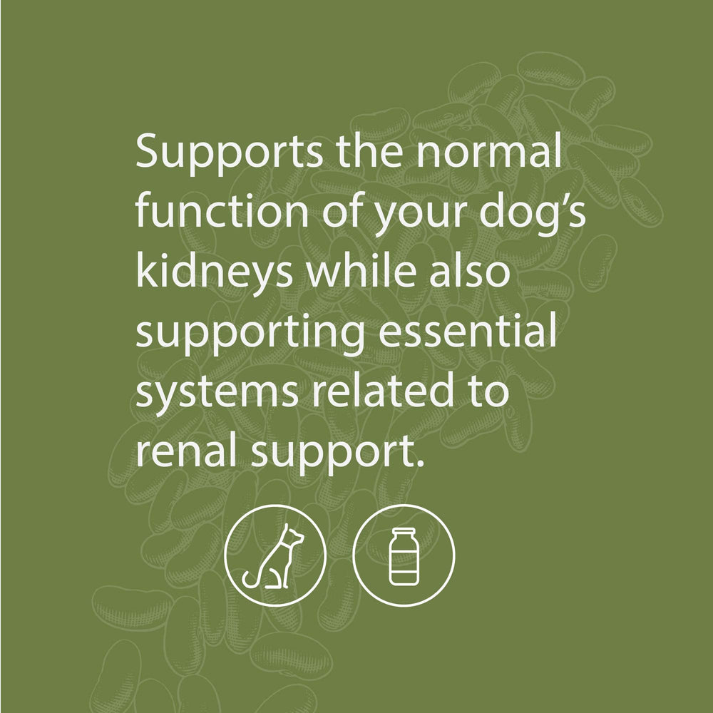 Dog meal with Canine Renal Support powder mixed in for daily nutrition.
