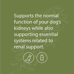 Dog meal with Canine Renal Support powder mixed in for daily nutrition.