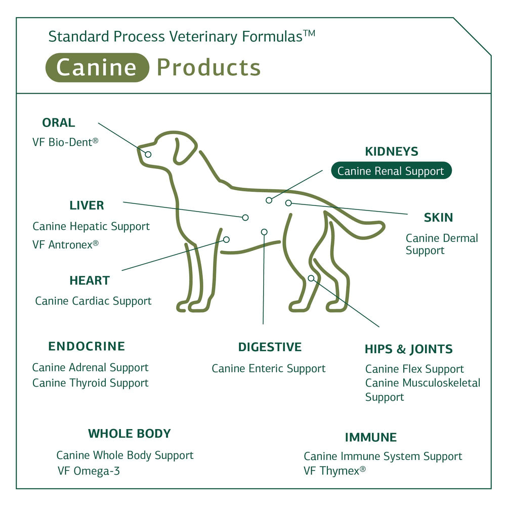 Close-up of the Standard Process Canine Renal Support label.
