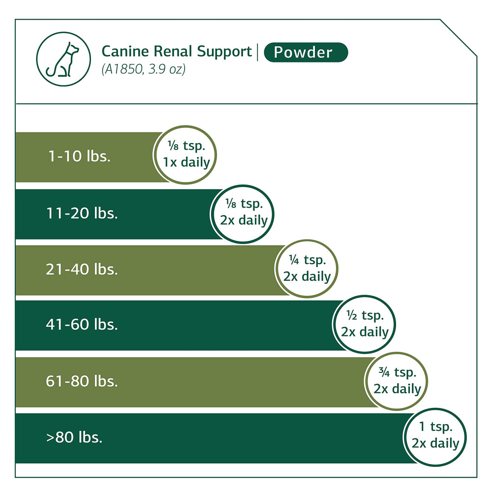 Packaging of Standard Process Canine Renal Support shown.