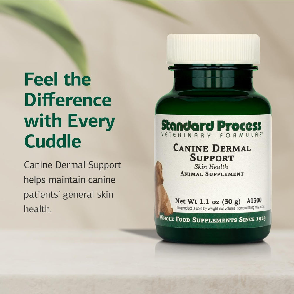 Standard Process Canine Skin Health banner highlighting dermal resilience