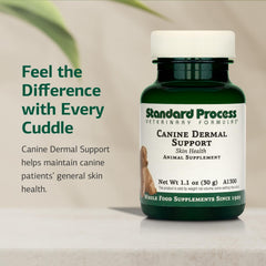 Standard Process Canine Skin Health banner highlighting dermal resilience