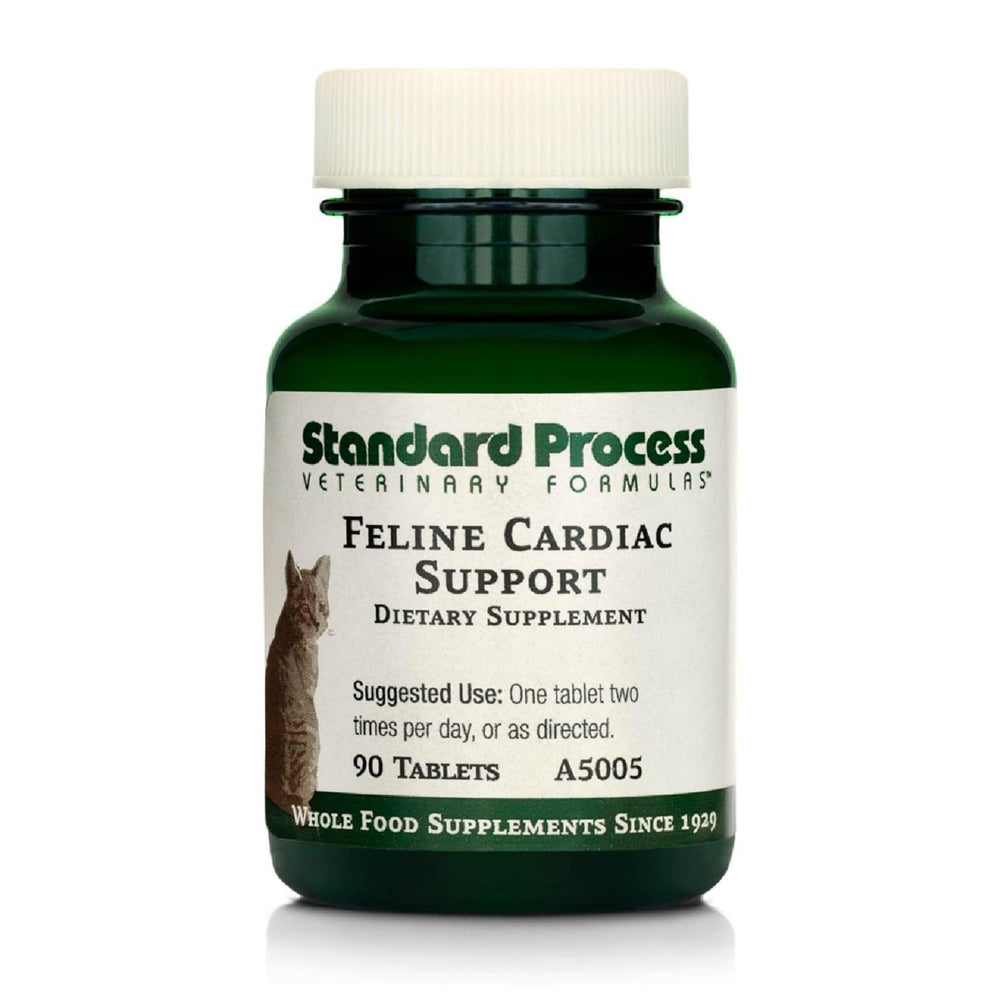 Standard Process Feline Cardiac Support bottle for daily heart health.