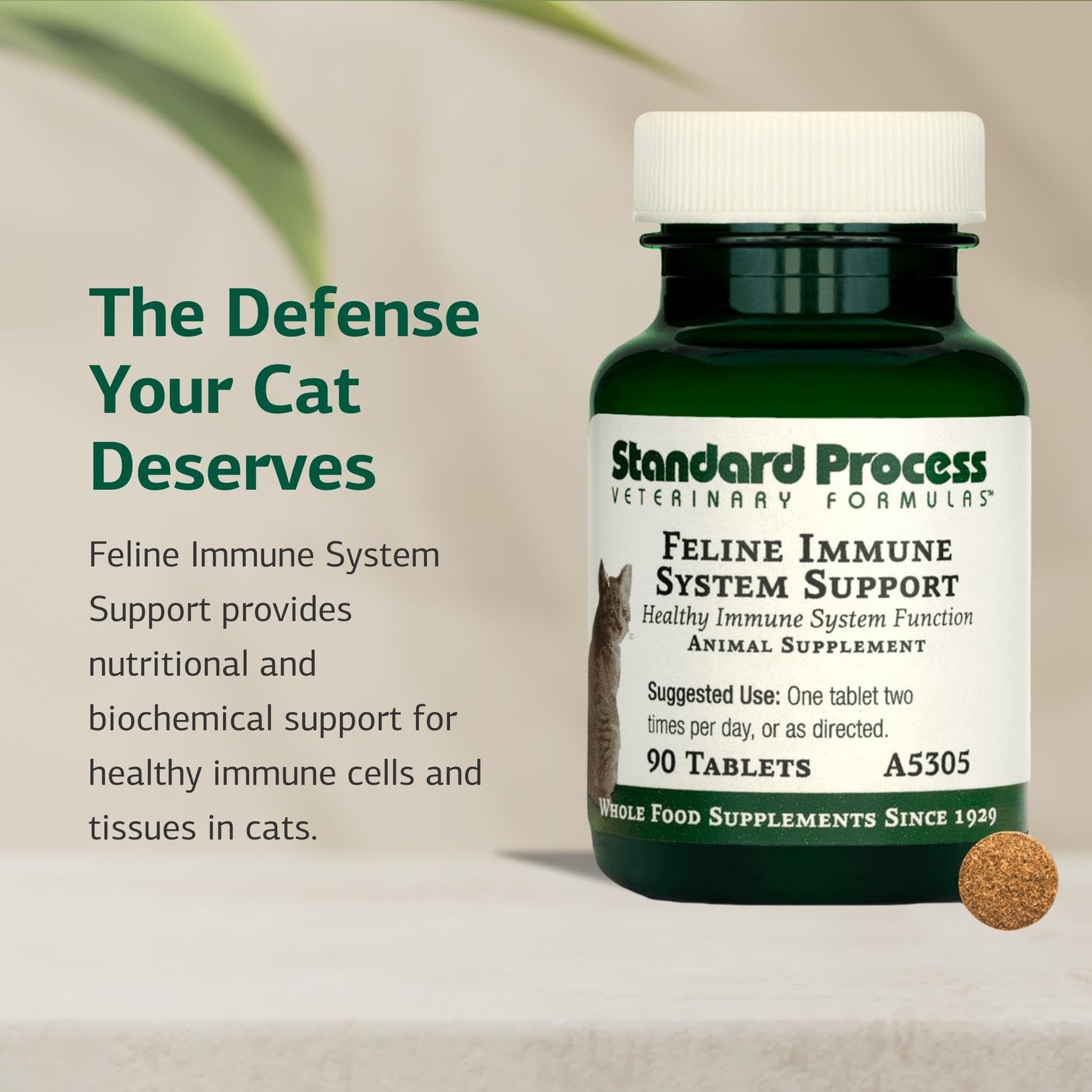 Cat-friendly dosing with food using Standard Process immune supplement.