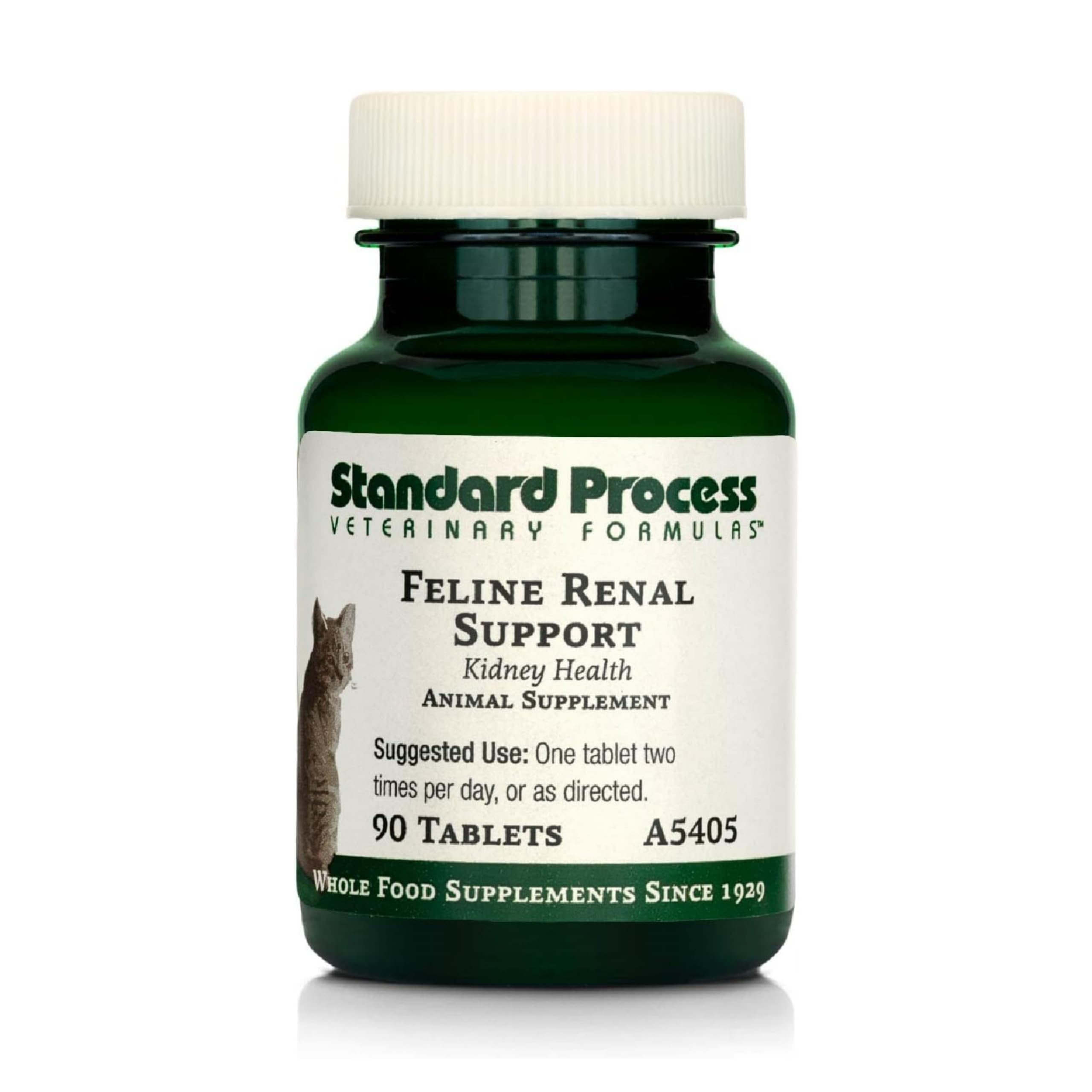 Standard Process Feline Renal Support bottle front showing the cat health supplement.
