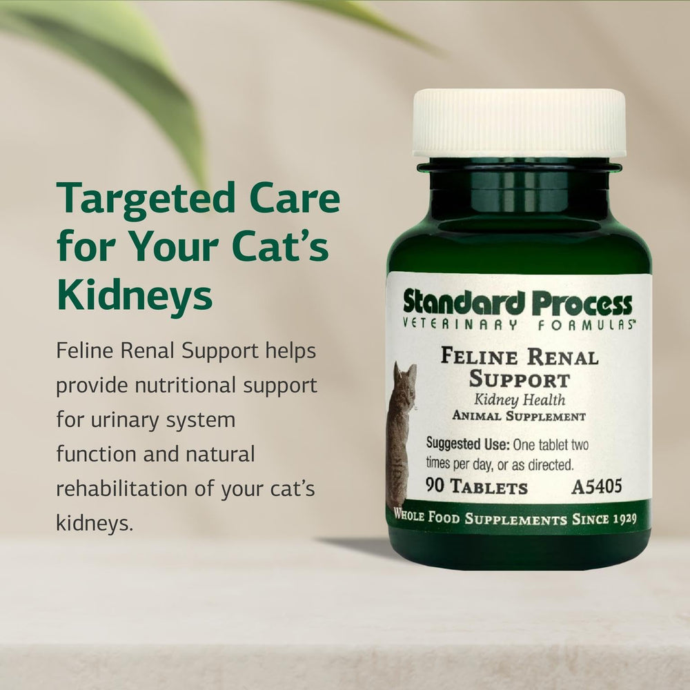 Standard Process Feline Renal Support tablets ready to give to your cat.