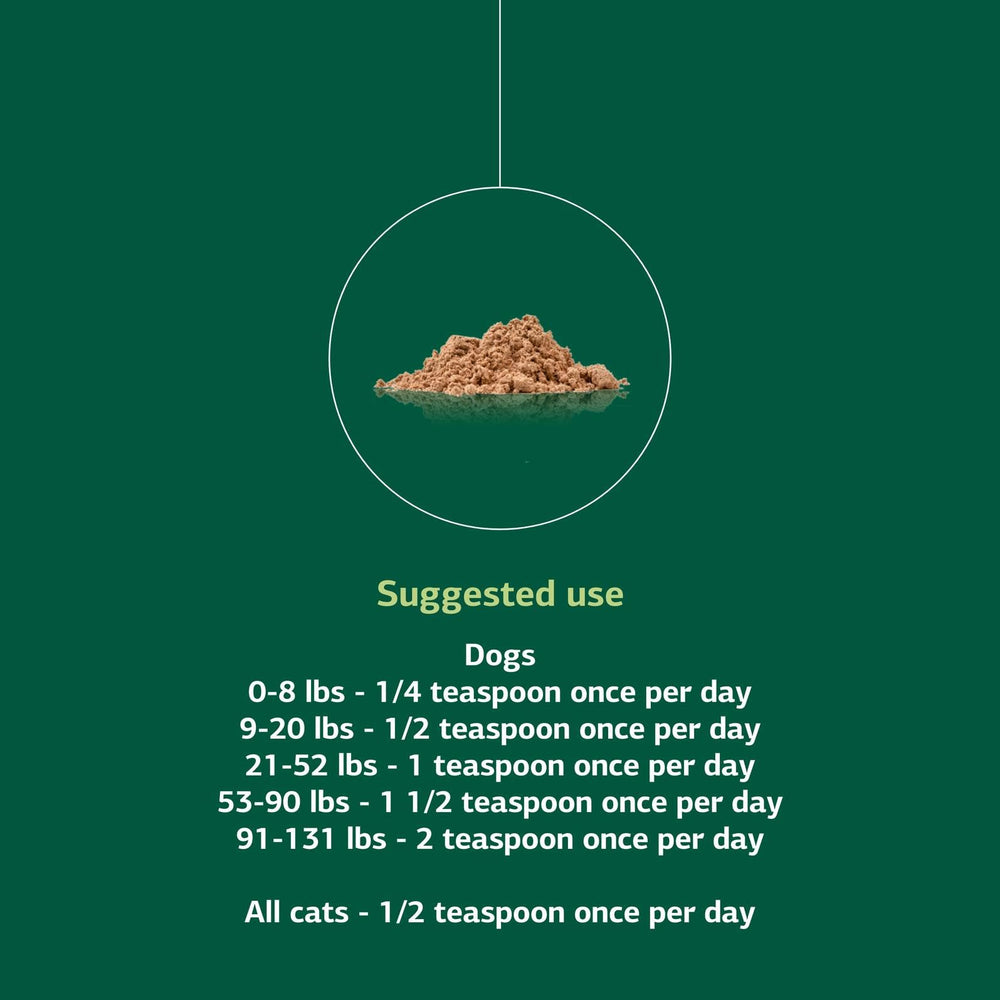 Standard Process Immune-support serving bowl for dogs and cats in use.