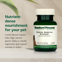 Standard Process Canine Adrenal Support powder form highlights natural ingredients for daily canine nutrition.